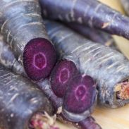 Cenoura roxa